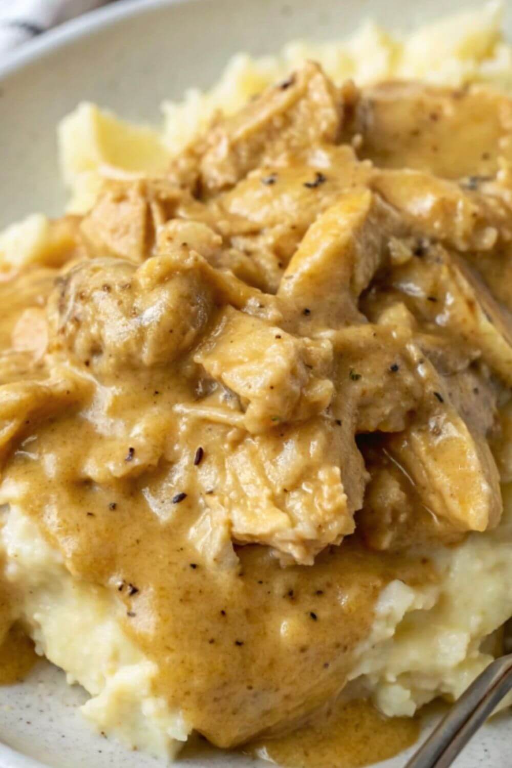 Shredded chicken with gravy served on mashed potato.