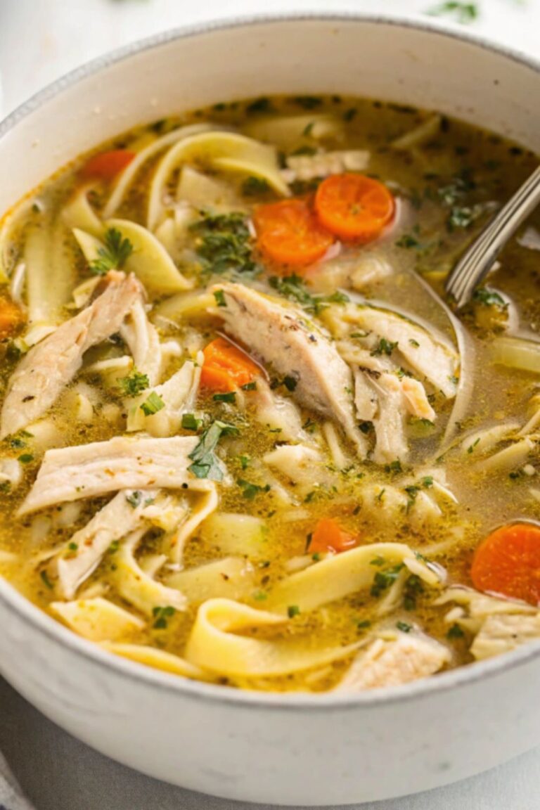 Chicken noodle soup with vegetables in a dish.