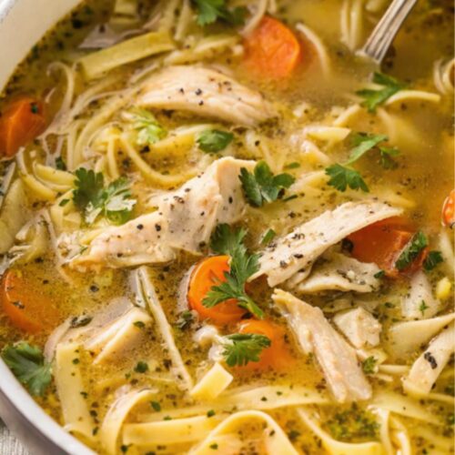 Chicken noodle soup with vegetables in a dish.